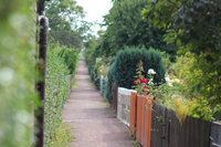 gartenfreunde