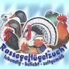 Geflügelzuchtverein Gröbers 376901784 122109242828041369 8551699369045976041 n