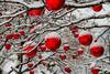 Weihnachten christmas 3009720 1280