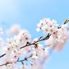 spring 2218771 1920